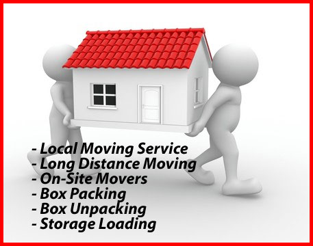 Packers And Movers Noida Sector 125